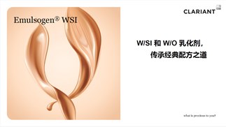 低粘粉底的首選-WSI